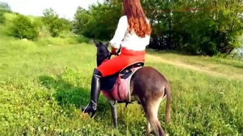 huge natural tits riding|Free Reiten Tube 